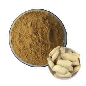 Am Beez Powder (আম বীজ গুঁড়া)