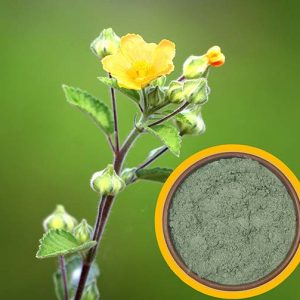 Berela Powder (বেড়েলা গুঁড়া)